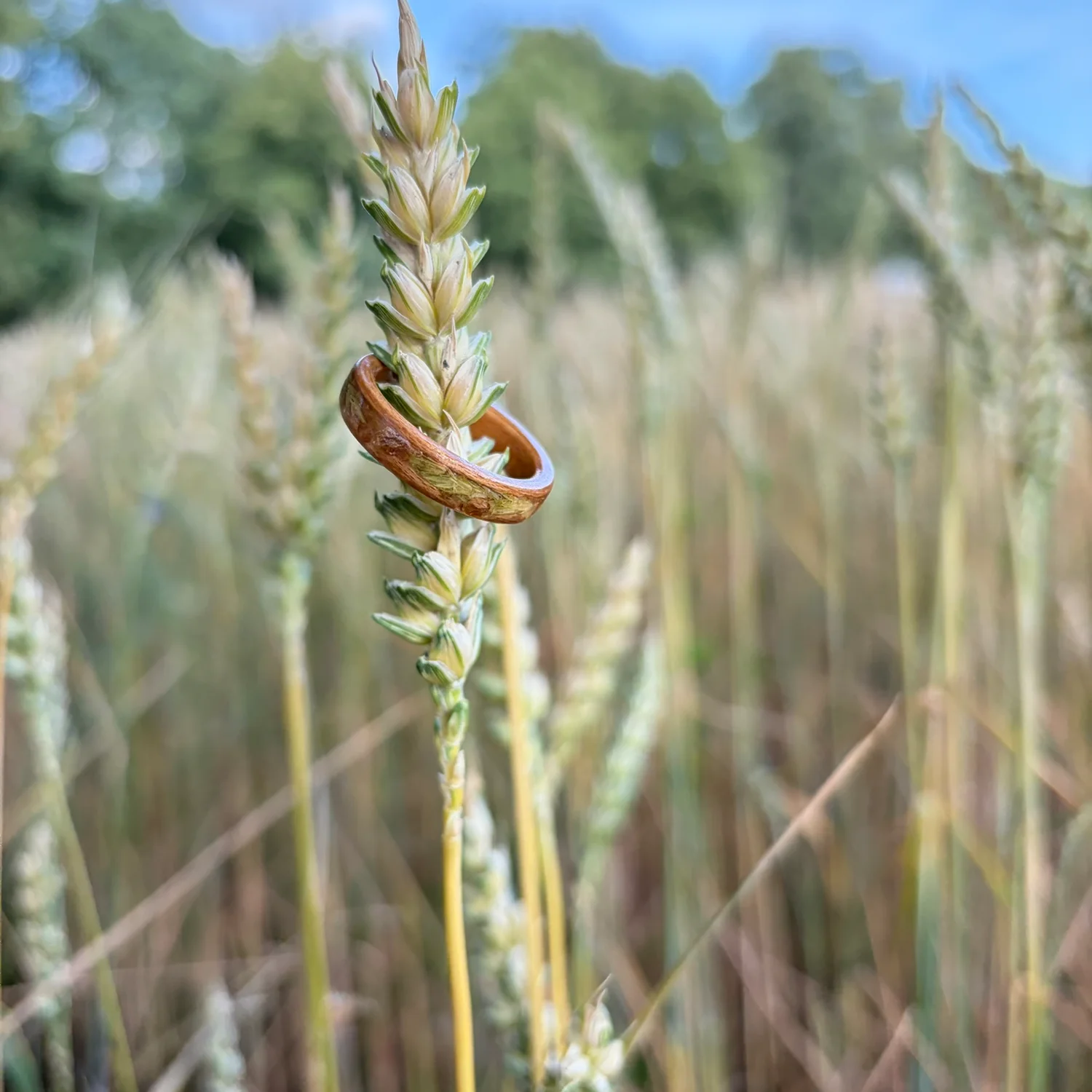 Handgefertigter Holzring mit Kornblume von michelwald